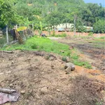 Bán lô đất 517m2 ngang 5.3m Nha Trang - Ảnh thu nhỏ 4