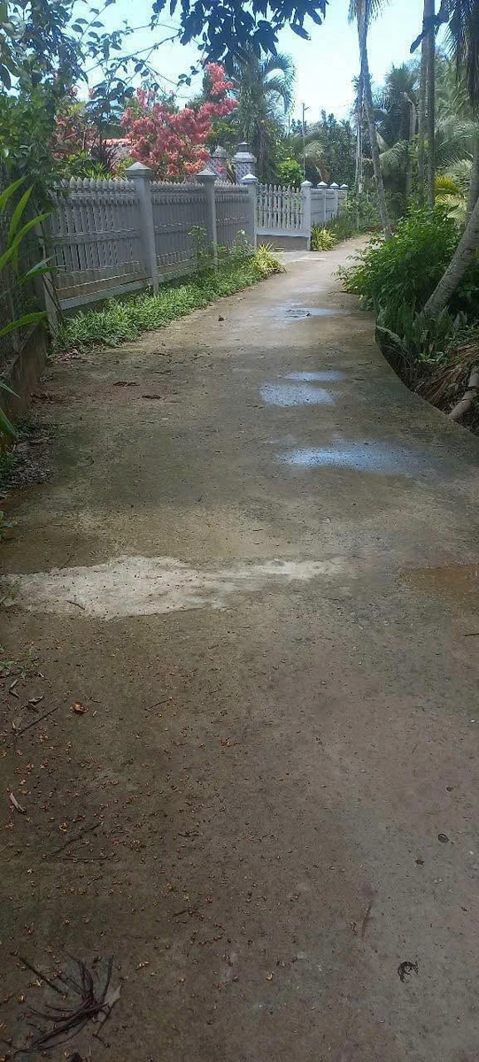 Bán đất giả mái Thái 8.300m² với nhà 3PN - 4 tỷ 500 - Ảnh 1