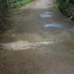 Bán đất giả mái Thái 8.300m² với nhà 3PN - 4 tỷ 500 - Ảnh thu nhỏ 1