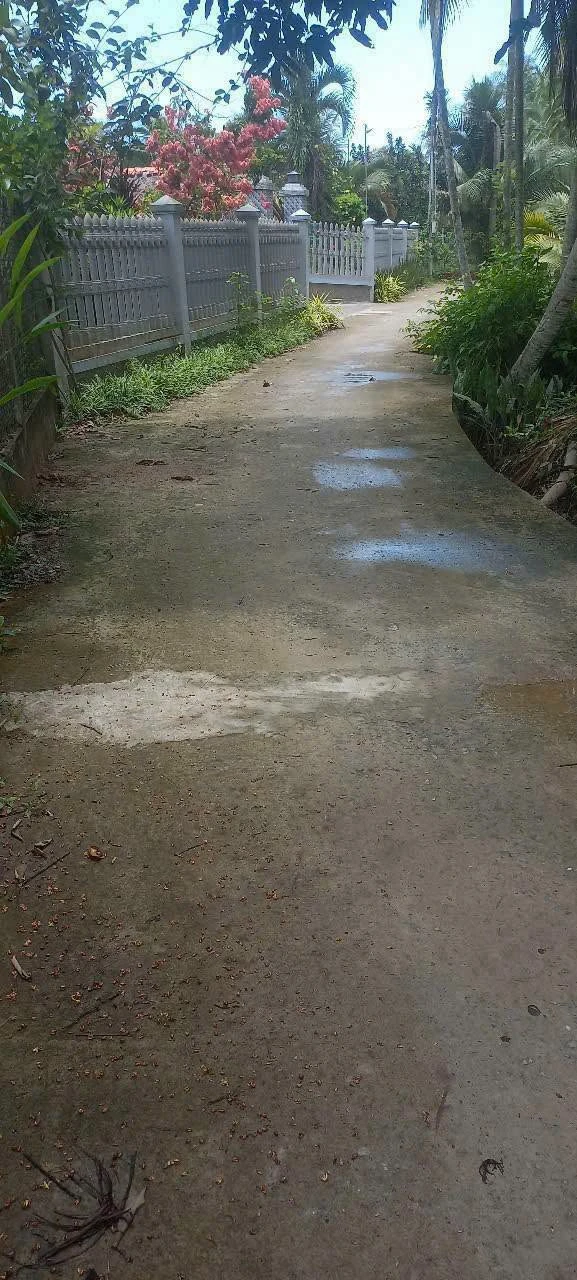 Bán đất giả mái Thái 8.300m² với nhà 3PN - 4 tỷ 500 - Ảnh 1