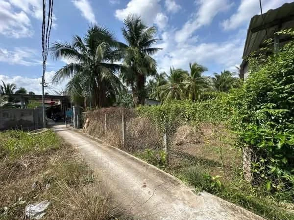 Bán đất Mỹ Thạnh An Bến Tre 1.226m² giá 1 tỷ 150 triệu - Ảnh thu nhỏ 4