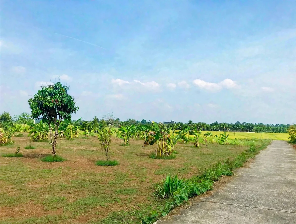 Bán đất nền 1000m² view cánh đồng tại Cư M'gar 699 triệu - Ảnh thu nhỏ 3