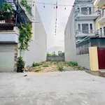 Bán lô đất 85m2 ngõ Phan Chu Trinh Nhị Châu Hải Dương - Ảnh thu nhỏ 1