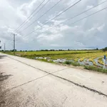 Bán đất mặt tiền Lạ Văn Cầu 600m2, Cần Giờ - Ảnh thu nhỏ 1