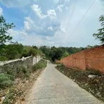 Bán lô đất Tân Hòa 125m², mặt tiền 5m, 900 triệu - Ảnh thu nhỏ 1