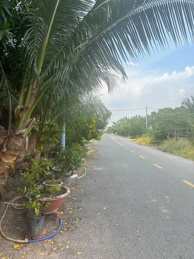Bán lô đất 5x29m thổ cư sổ riêng Xã Hòa Khánh Nam Đức Hòa - Ảnh thu nhỏ 2
