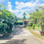 Nhà vườn mái Nhật Tạ Quang Bửu, 200m2, 4 PN, 5,6 tỷ - Ảnh thu nhỏ 3