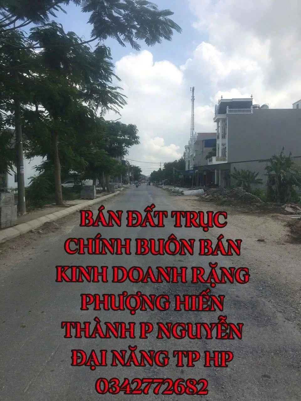 Bán lô đất kinh doanh 115m² Hải Phòng giá 3 tỷ - Ảnh 1