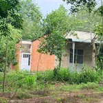 Bán 2,4ha đất cao su có nhà cấp 4, giá 3,5 tỷ, Đồng Tiến, Bình Phước - Ảnh thu nhỏ 4