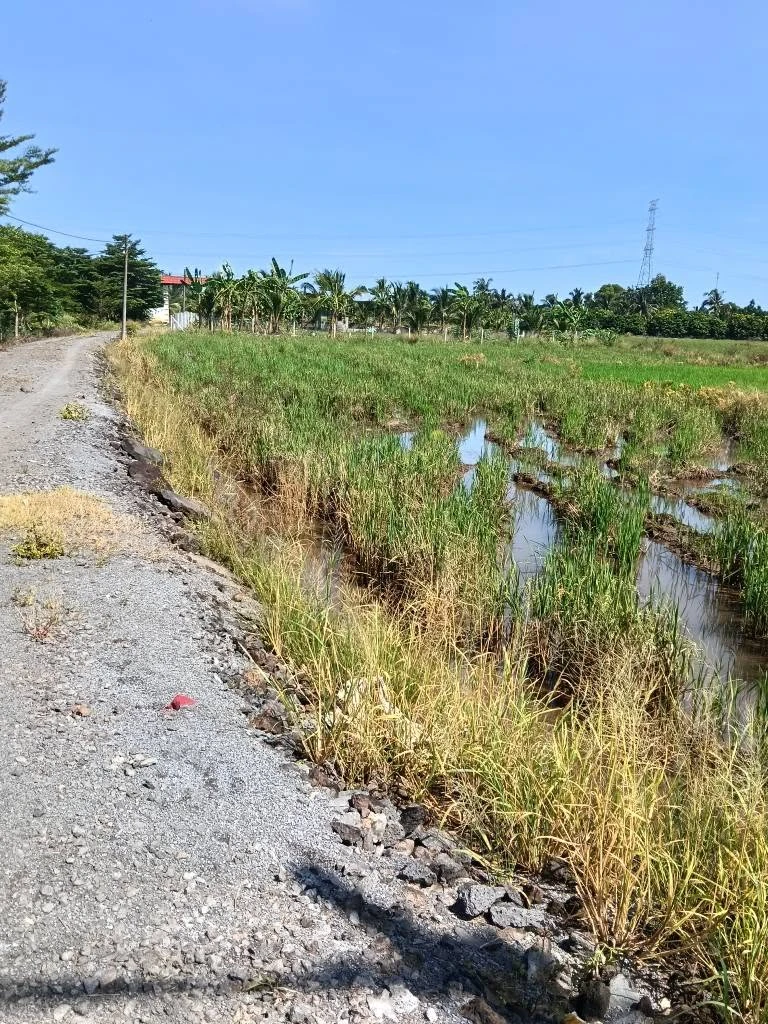 Bán đất Bàu Hàm 540m² gần Sông Thao 339 triệu - Ảnh thu nhỏ 2
