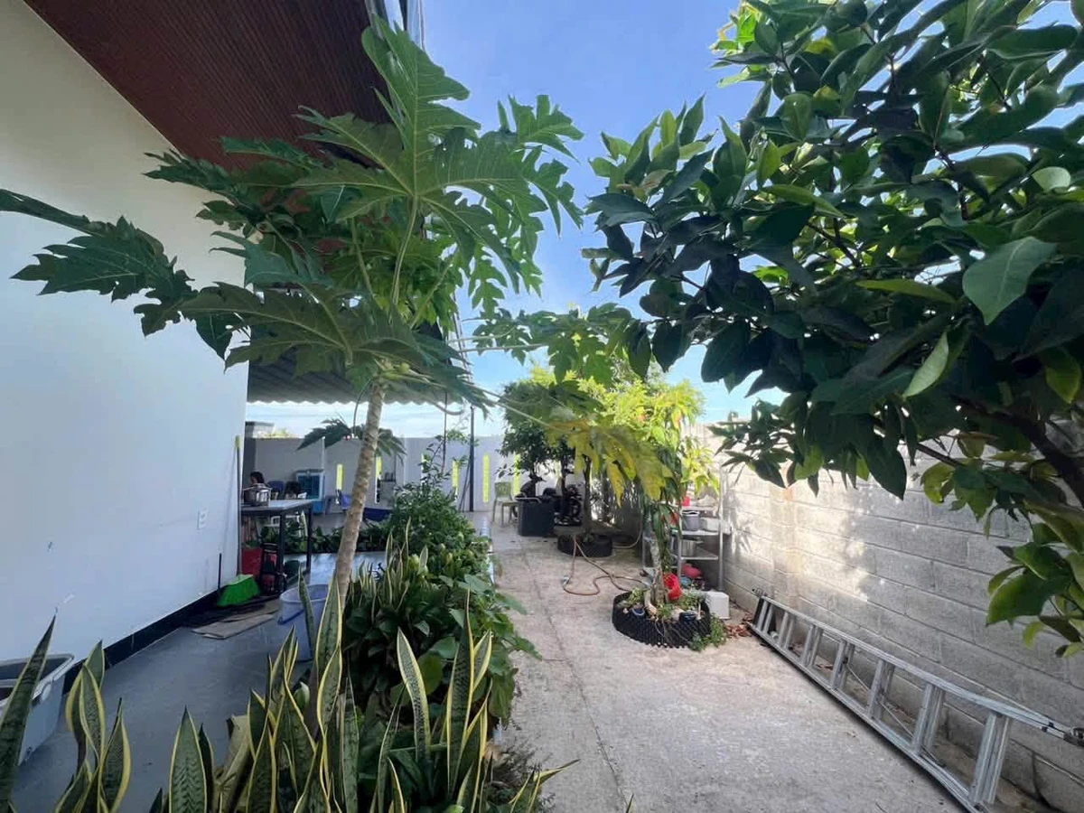 Bán nhà vườn 3PN 514.7m² gần chợ Tôn Phong Phan Thiết 3.8 tỷ - Ảnh thu nhỏ 3