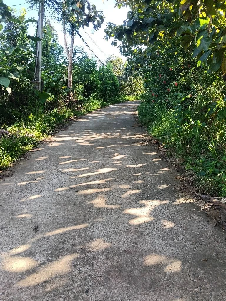 Bán 1000m² mặt tiền đường bê tông, Định Quán, Đồng Nai - Ảnh thu nhỏ 4