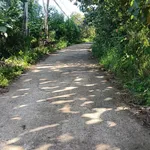 Bán 1000m² mặt tiền đường bê tông, Định Quán, Đồng Nai - Ảnh thu nhỏ 4