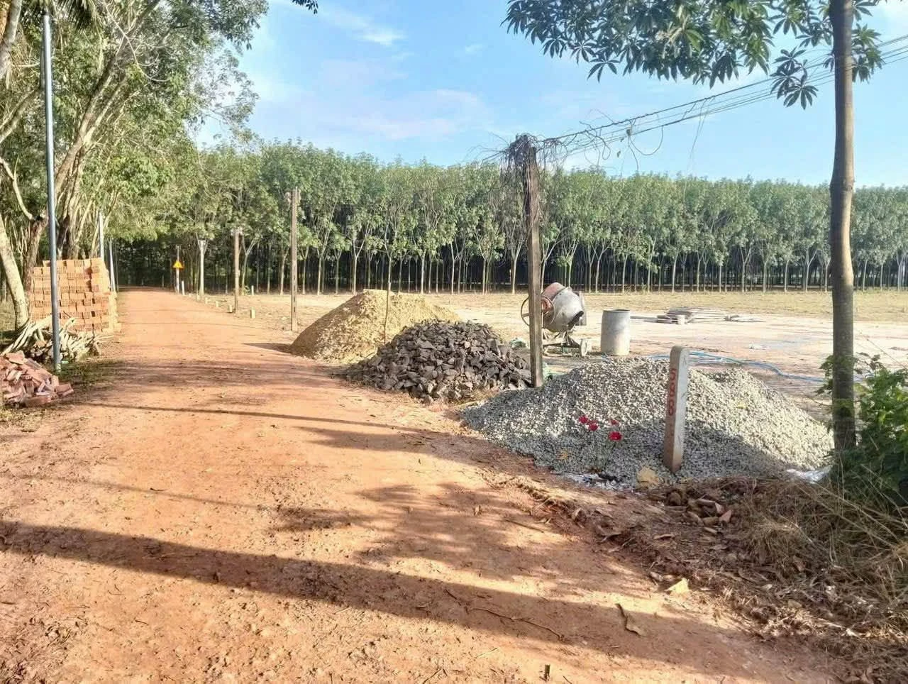Bán đất thổ cư 460m2 Châu Thành, Tây Ninh 219 triệu - Ảnh 1