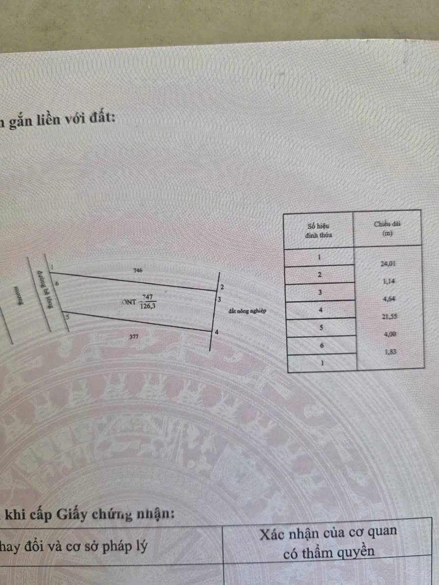 Bán đất thổ cư 126m² Hàm Chính Bình Thuận - Ảnh thu nhỏ 2