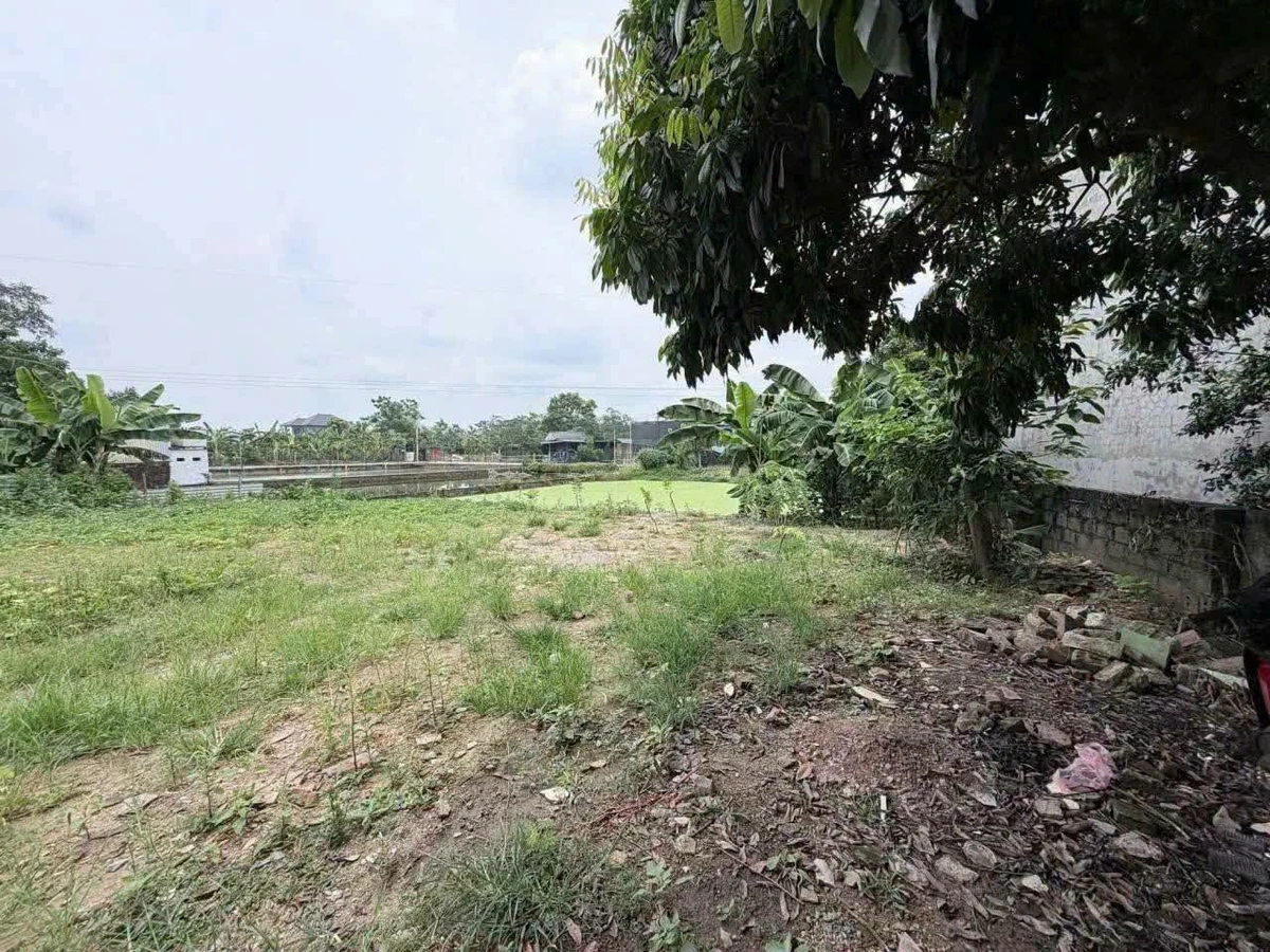 Bán đất nền 80m² Trung Hòa, Phú Nghĩa, Hà Nội, hơn 1 tỷ - Ảnh thu nhỏ 4