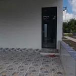 Bán đất 1.050,7m2 ngang 20m đất cây lâu năm, có sẵn nhà, xã Hữu Định, Châu Thành - Ảnh thu nhỏ 5
