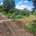 Bán 4 sào đất cà phê 4000m2 tại Buôn Ma Thuột - Ảnh thu nhỏ 4