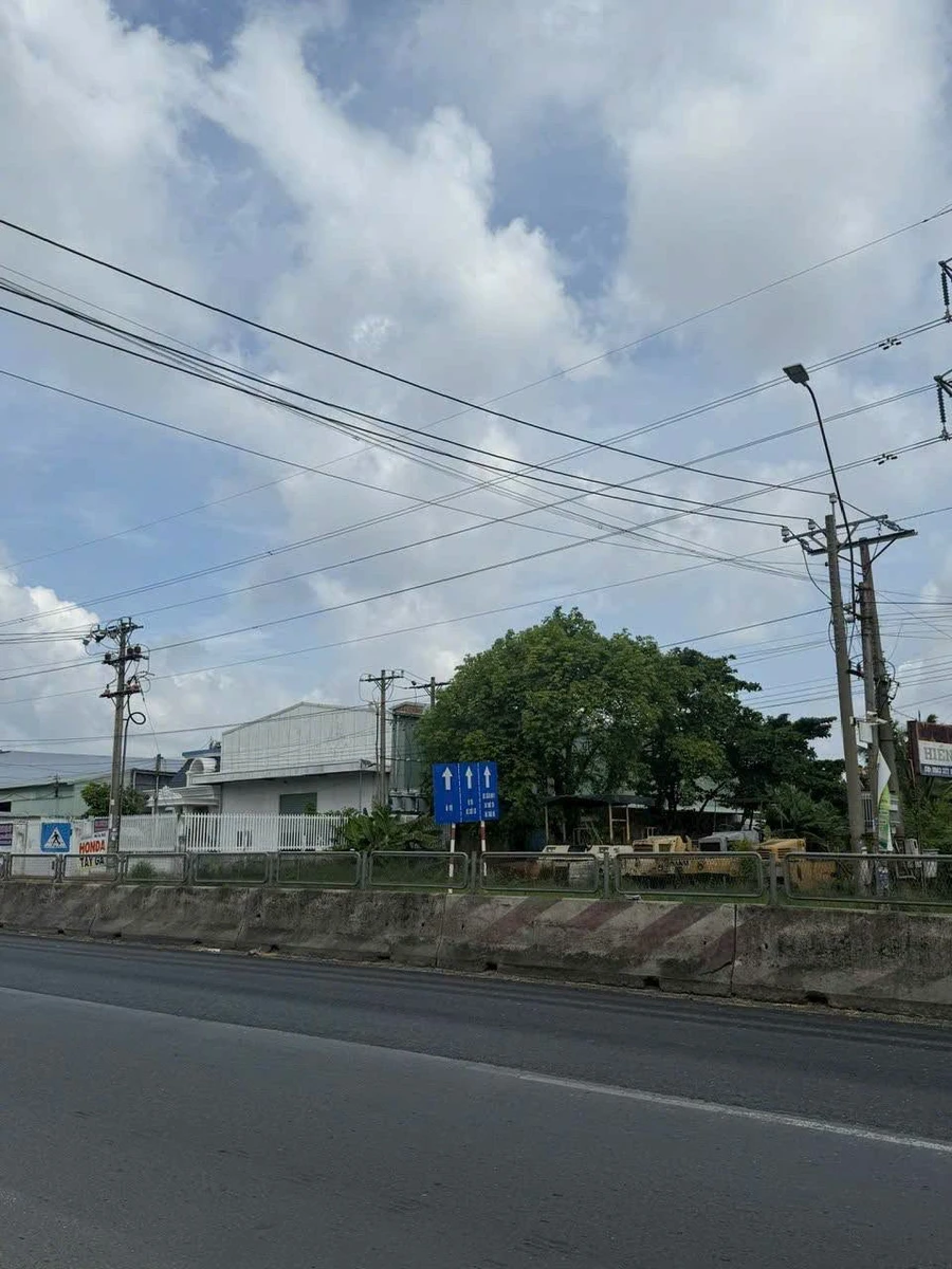 Bán đất 1800m2 mặt tiền Quốc Lộ 1A Long An - Ảnh thu nhỏ 4
