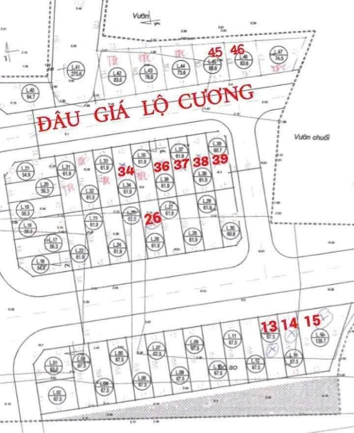 Bán đất 61.9m² mặt tiền 4.5m Lộ Cương Hải Phòng - Ảnh thu nhỏ 4