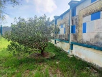Bán gấp mặt đường Quản Lộ Phụng Hiệp, Tân Thành, Cà Mau, 8898m, ngang 69m, chỉ 29 tỷ - Ảnh thu nhỏ 5