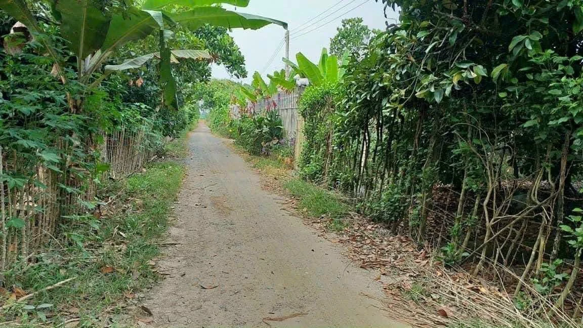 Bán lô đất vườn 2000m² Tân An 5 tỷ - Ảnh thu nhỏ 3