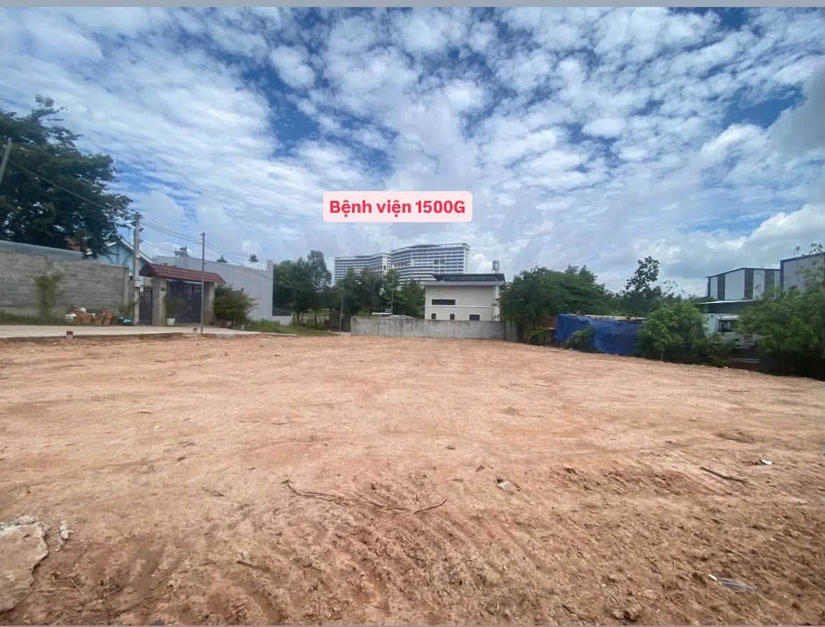 Bán đất 175m2 gần KDC Hiệp Thành 3, Thủ Dầu Một, Bình Dương - Ảnh thu nhỏ 4
