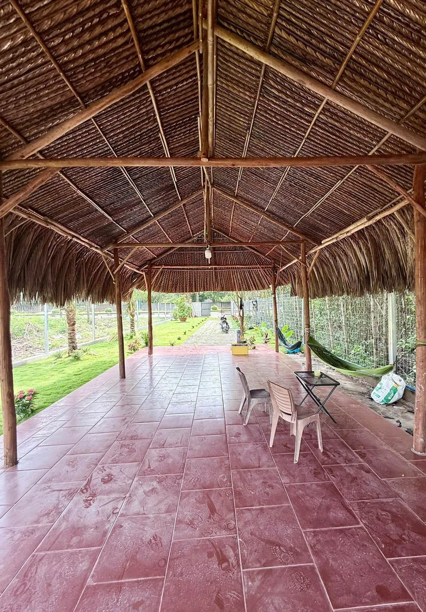 Bán đất mặt tiền Tỉnh lộ 52, 365m², ngang 8m, giá 2,7 tỷ, Xã Đất Đỏ - Ảnh thu nhỏ 4