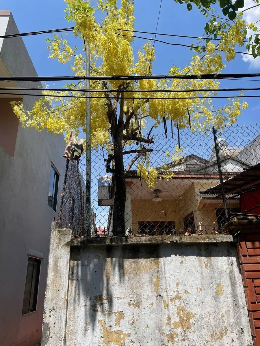 Bán đất sát sông Hàn 179.5m² KĐT Nam Việt Á Đà Nẵng - Ảnh thu nhỏ 3