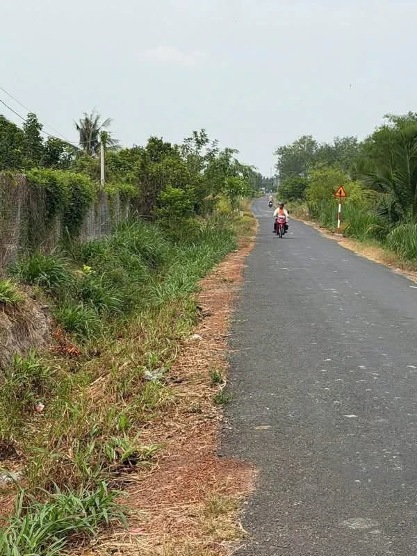 Bán đất mặt tiền Nguyễn Lương Bằng 1000 m², Tây Ninh - Ảnh thu nhỏ 2