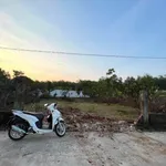 Bán lô đất Tân Phú 760m² đường bê tông, giá 1,4 tỷ - Ảnh thu nhỏ 2