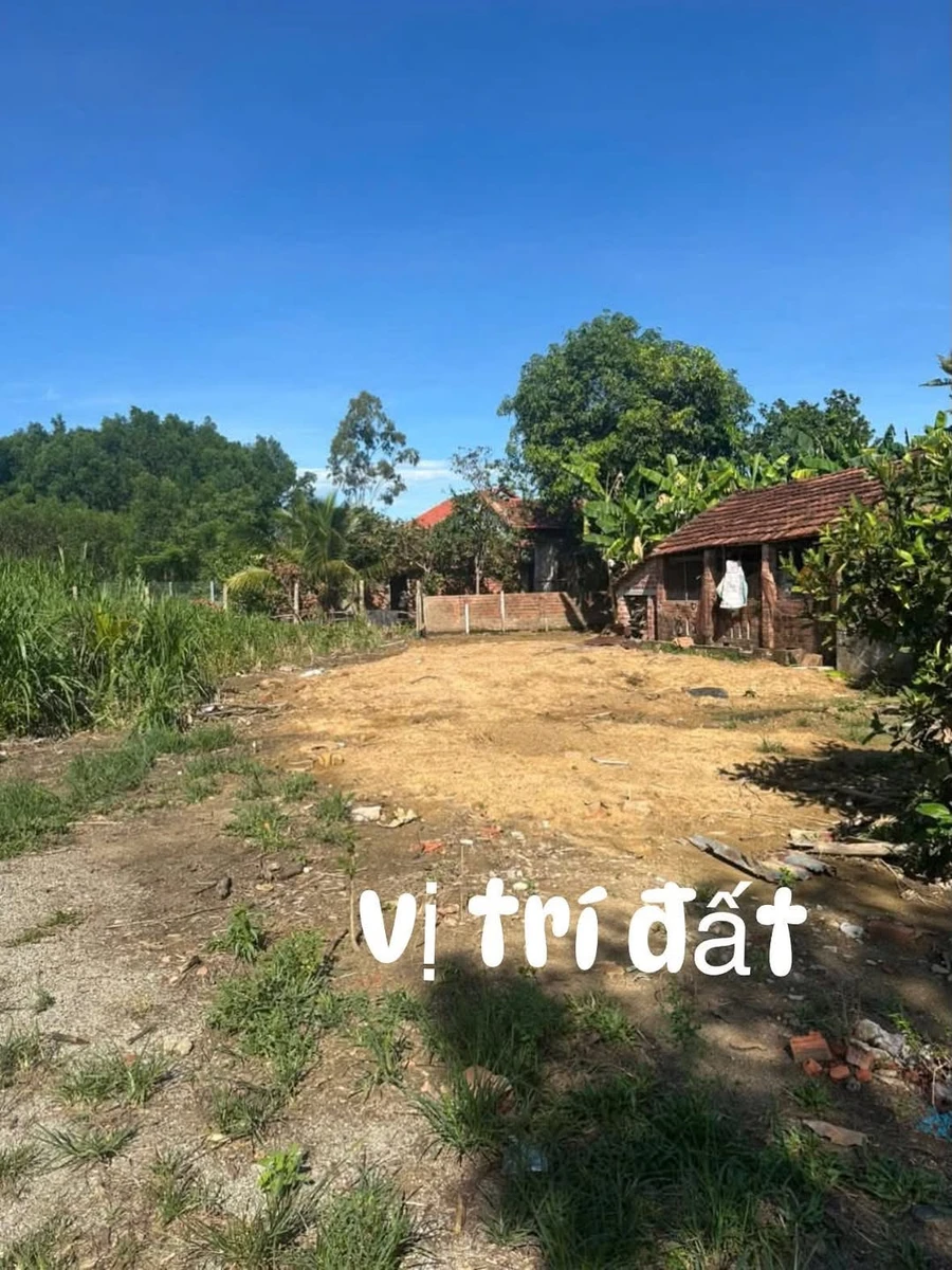 Bán đất 191m² (120m² đất ở, sổ hồng) giá 290 triệu tại thôn Ngũ Xã, xã Thăng Phú - Ảnh 1