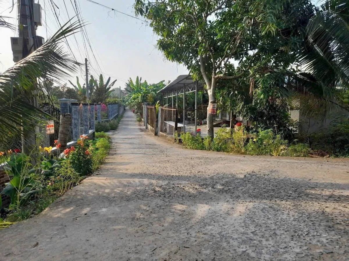 Bán nền biệt thự 375 m2 view sông Ba Lai Nhà Bè - Ảnh thu nhỏ 2