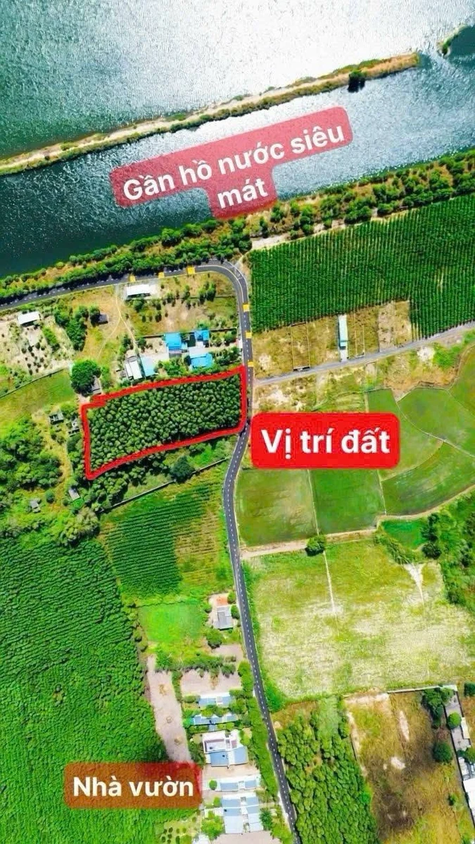 Bán đất biển Phước Hải 5000m2 giá 8 tỷ 500 - Ảnh thu nhỏ 2