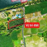 Bán đất biển Phước Hải 5000m2 giá 8 tỷ 500 - Ảnh thu nhỏ 2