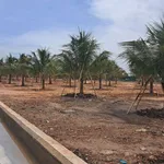 Bán đất 65m2 ven sông Sài Gòn, An Phú Đông, 86 tỷ - Ảnh thu nhỏ 3