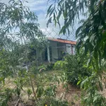Bán đất 1.000m² view kênh tại Bình Đức, Bến Lức, Long An - Ảnh thu nhỏ 5