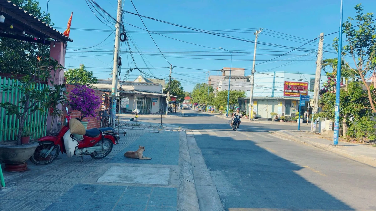 Bán đất mặt tiền Lâm Văn Võ Phước Hải 81m2 giá 2.95 tỷ - Ảnh thu nhỏ 3