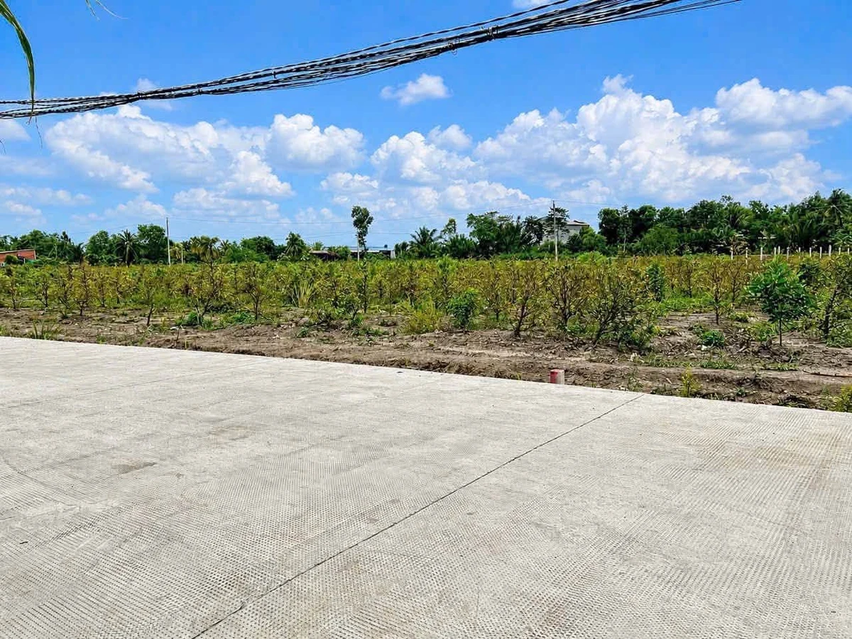 Bán đất nền 550m² Thạnh Lợi Bến Lức Long An 790 triệu - Ảnh thu nhỏ 3