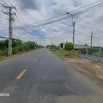 Bán đất 1912m² Tân Trụ, Long An - Mặt tiền đường cont - Ảnh thu nhỏ 1