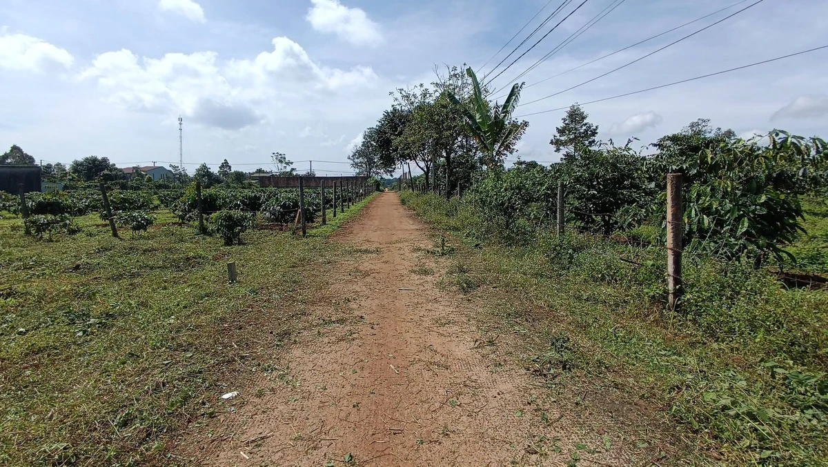 Bán lô đất nền 5m × 28m Đào Duy Từ 140m², 3xx triệu - Ảnh thu nhỏ 3