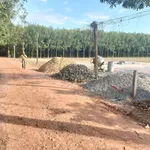 Bán đất thổ cư 5x92m giá 250 triệu tại Châu Thành, Tây Ninh - Ảnh thu nhỏ 1