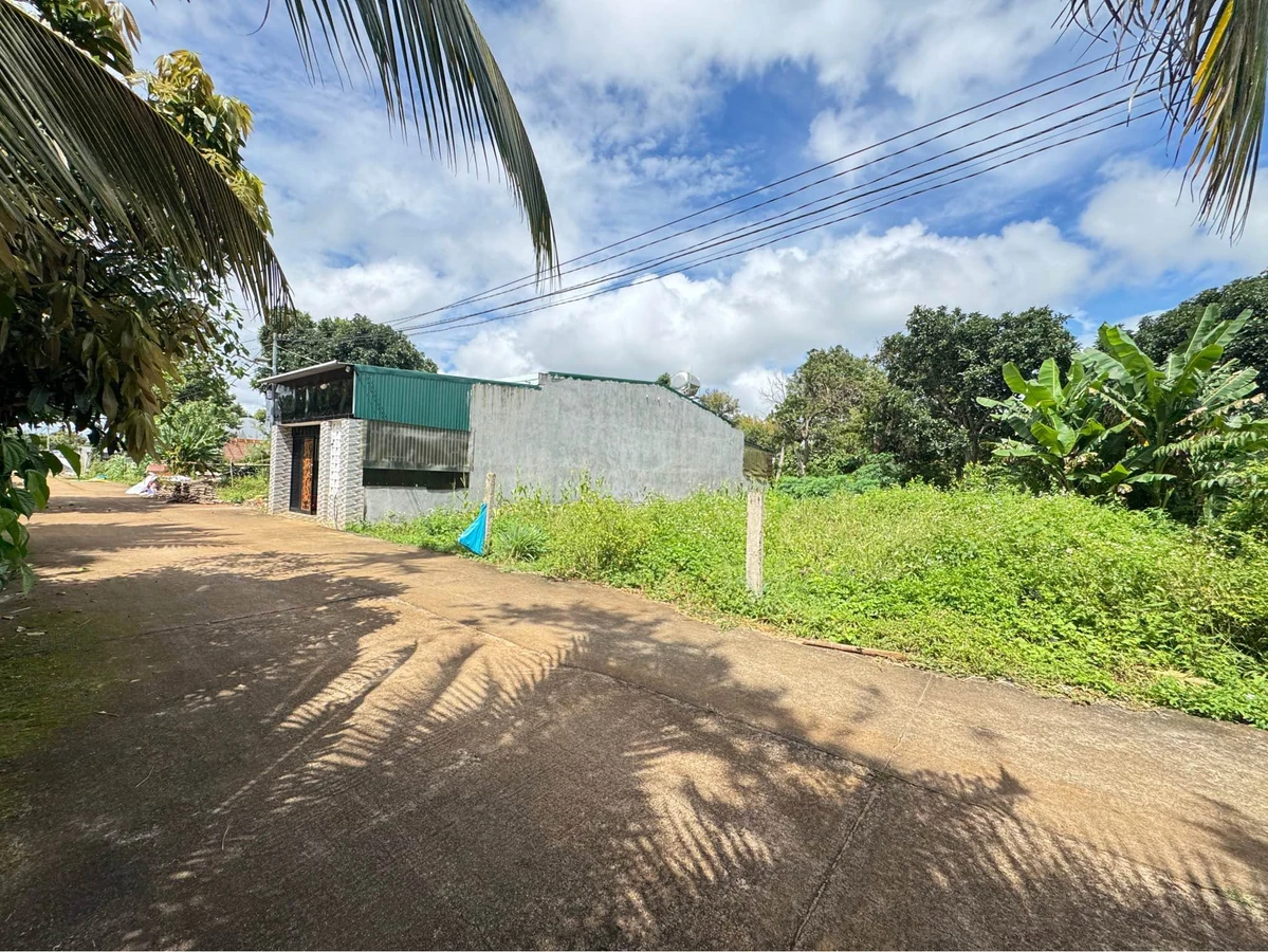 Bán đất Phường Tân An, Bình Tân 125m² - Ảnh thu nhỏ 3