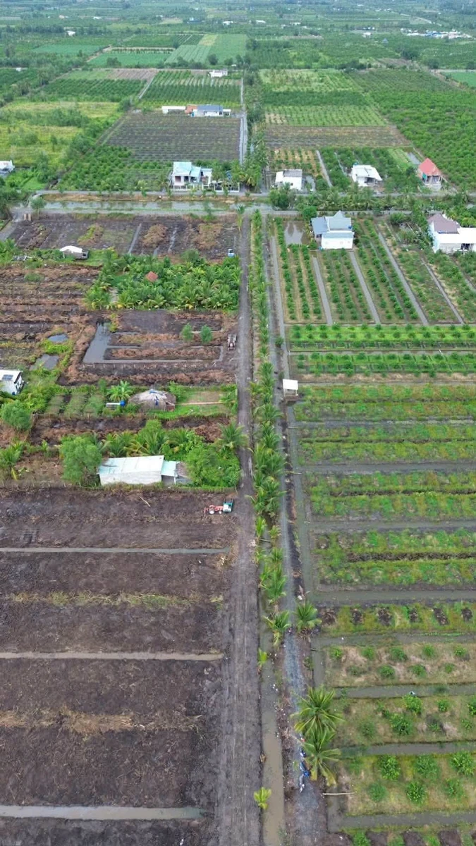 Bán đất vườn 500m² Tân Thành, Thủ Thừa, Long An - Ảnh 1