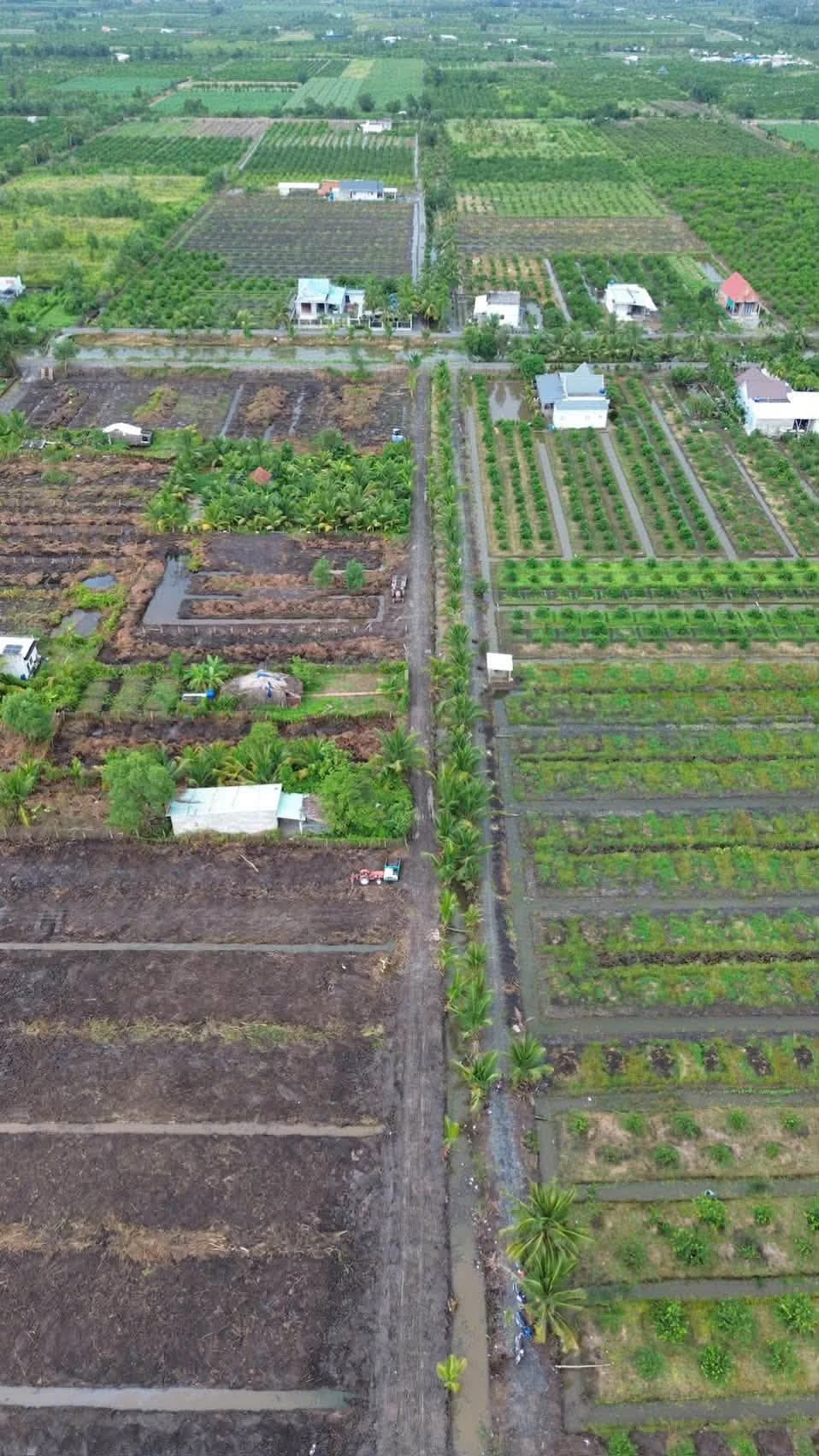 Bán đất vườn 500m² Tân Thành, Thủ Thừa, Long An - Ảnh 1