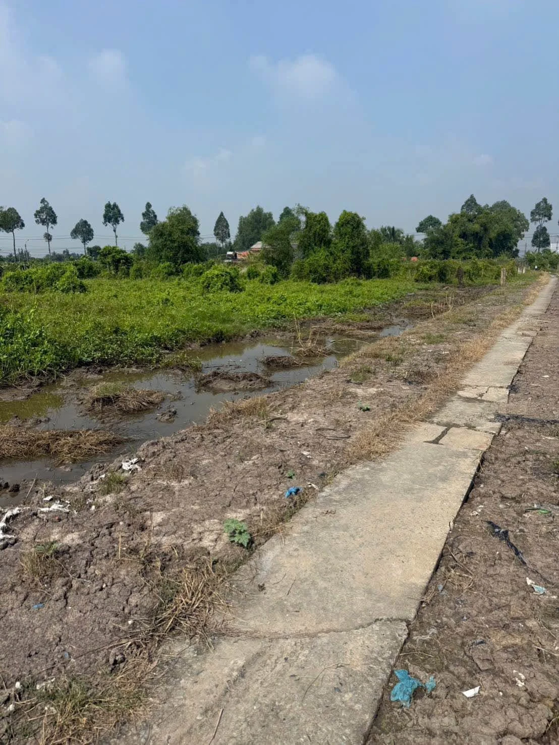 Bán 2400m² đất lúa sổ hồng Tây Ninh 750tr/1000m² - Ảnh 1