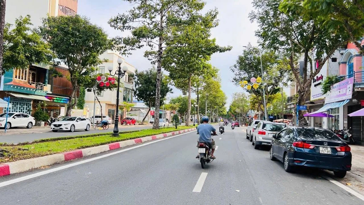 Bán lô góc 2 mặt tiền 250m2 Bà Rịa - Ảnh thu nhỏ 2