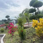 Bán đất vườn 1.800m² Phú Giáo 3 tỷ 490 triệu - Ảnh thu nhỏ 3