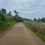 Bán nhanh 1500m² đất Cẩm Mỹ, Đồng Nai chỉ 1 tỷ - Ảnh thu nhỏ 4