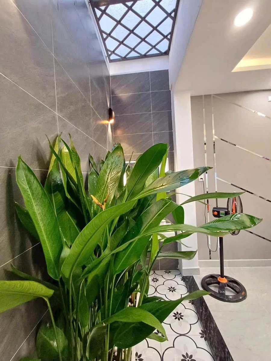 Cho thuê nhà 1 trệt 1 lửng 3 lầu 4PN full nội thất đường Thạnh Xuân 25, Quận 12, 15 triệu/tháng - Ảnh thu nhỏ 5
